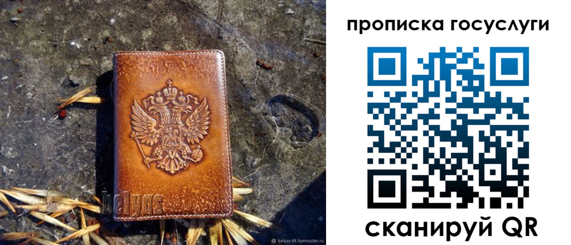 временная регистрация для всех в Коле